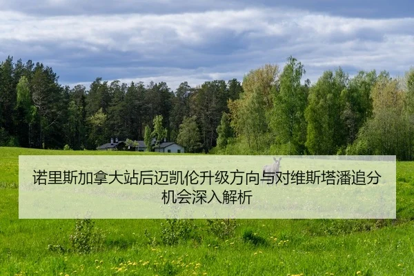 诺里斯加拿大站后迈凯伦升级方向与对维斯塔潘追分机会深入解析