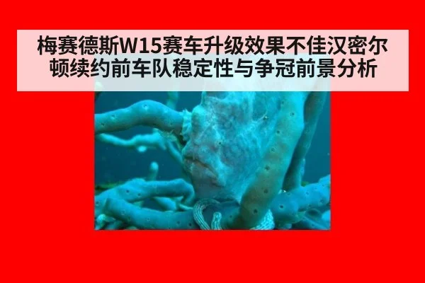 梅赛德斯W15赛车升级效果不佳汉密尔顿续约前车队稳定性与争冠前景分析